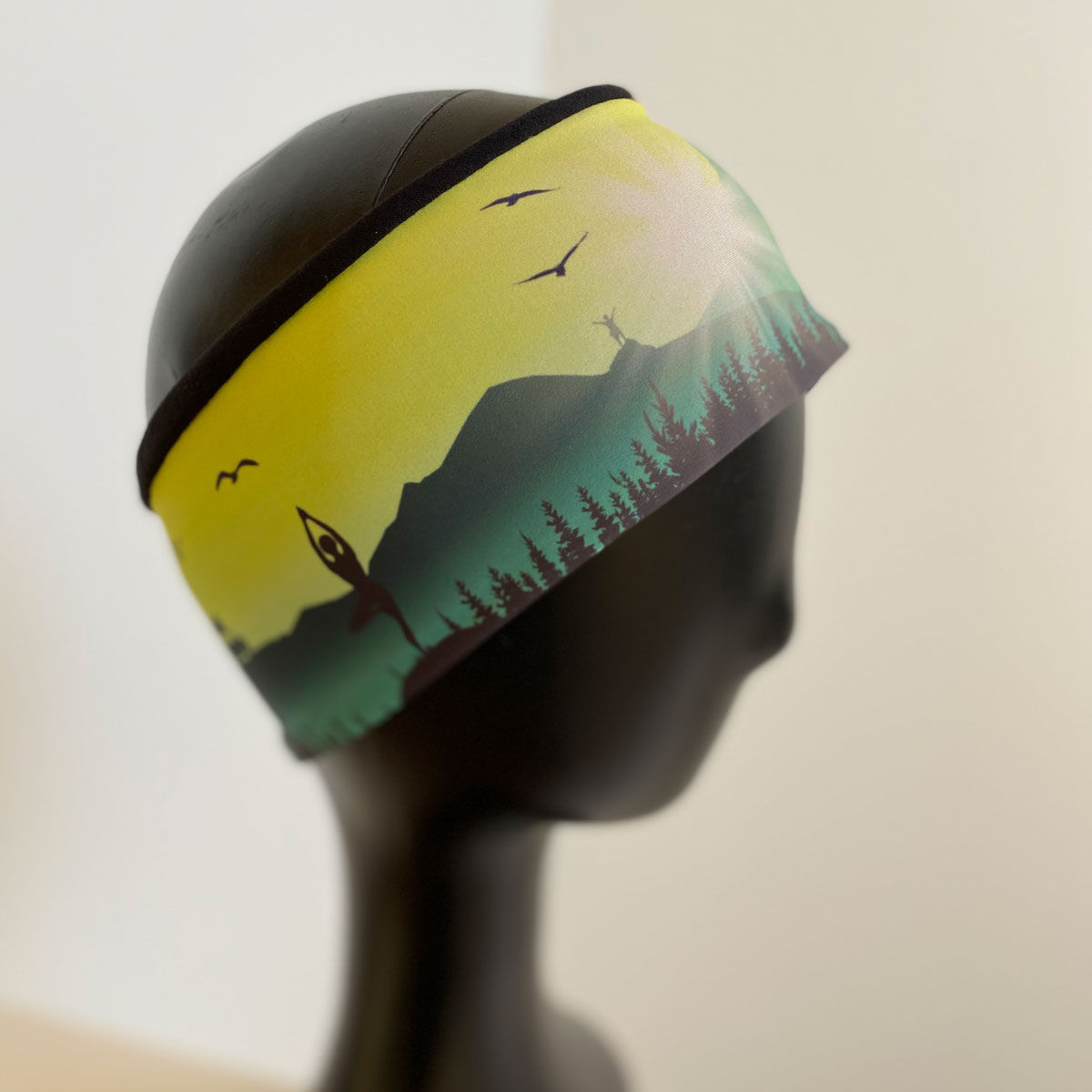 Bandeau - Dents-du-Midi – Image 8