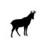 Chamois +5.00CHF