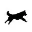 Chien +5.00CHF