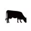 Vache +5.00CHF