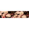 Fleurs vintage