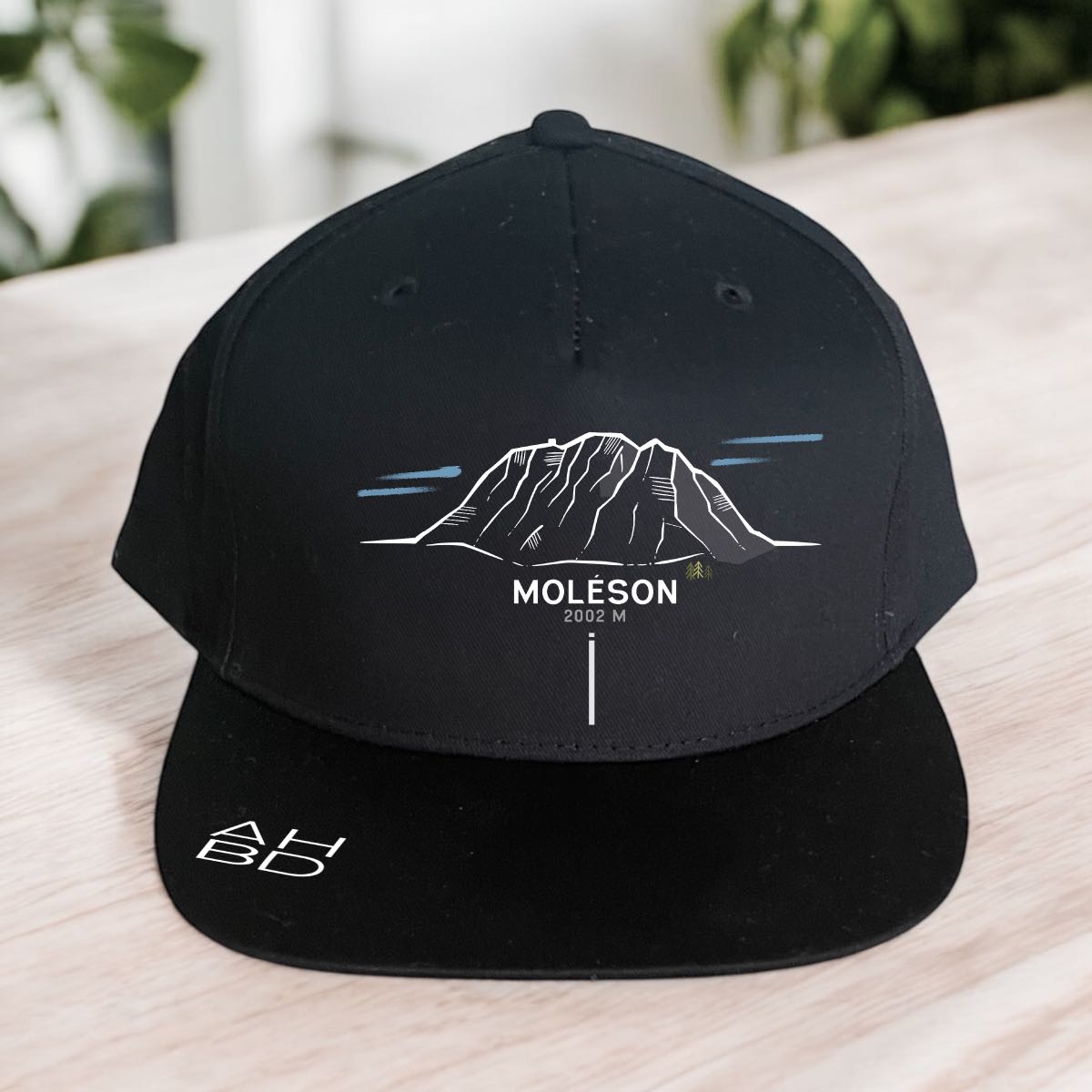 Casquette montagne suisse streetwear, casquette urbaine, look streetwear, création suisse, casquette montagnarde, Diablerets. Chavalard, Dent Blanche, Dents-du-Midi, explore, outdoor, Gastlosen, Muveran, Combin, Pilatus, camping, tente, AHBD, Moléson,