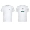 T-shirt montagne suisse, t-shirt décontracté running, alpes suisse