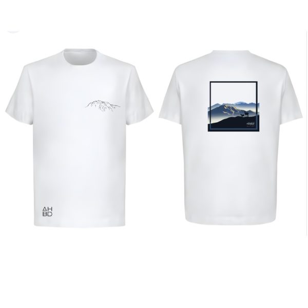 T-shirt montagne suisse, t-shirt décontracté running, alpes suisse grammont
