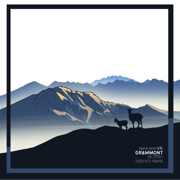 T-shirt montagne suisse, t-shirt décontracté running, alpes suisse, Ruinette, Grammont , Cervin, riding, cycling, vélo, chasseral, Gastlosen, couronne impériale, dent blanche, plage, t-shirt enfant