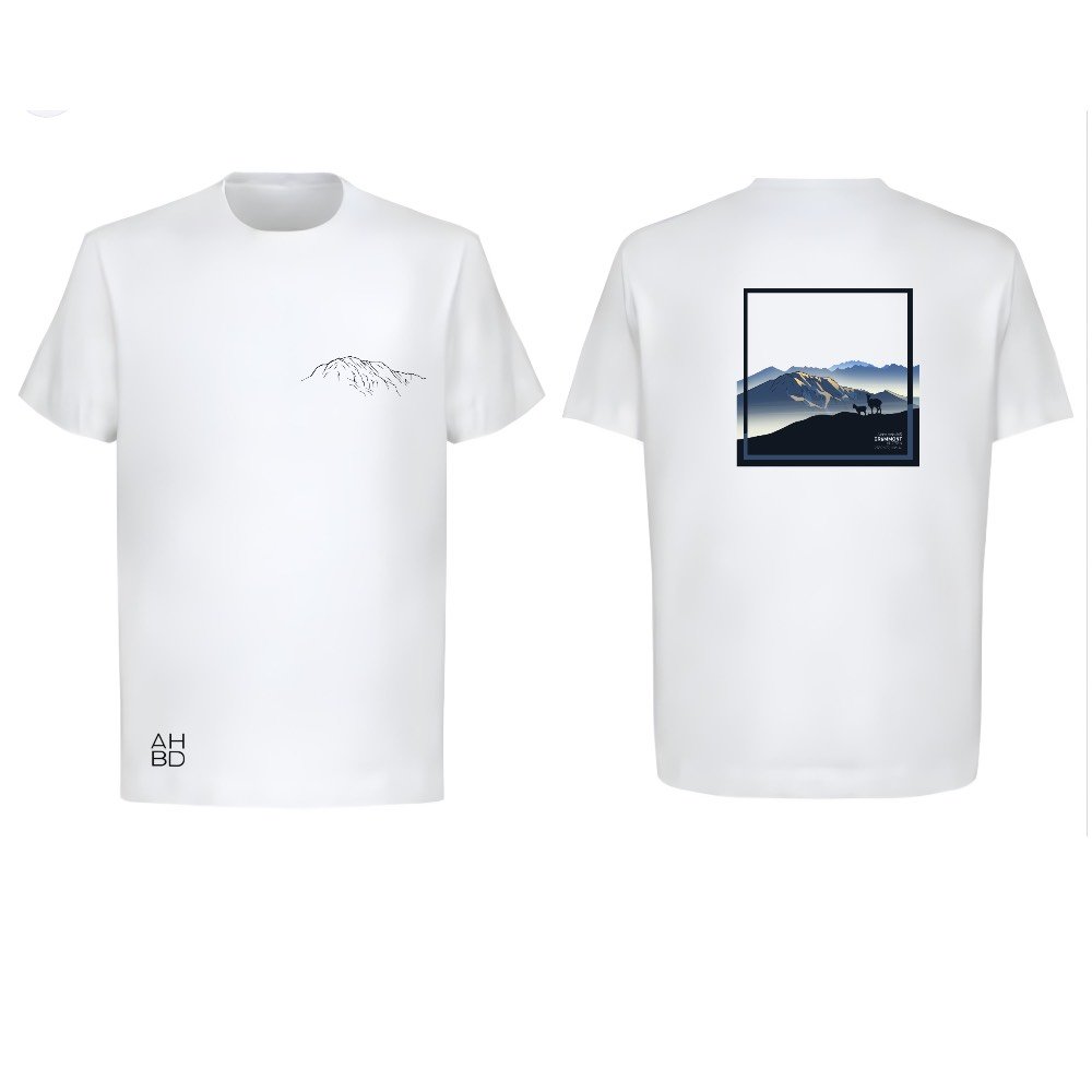 T-shirt montagne suisse, t-shirt décontracté running, alpes suisse grammont