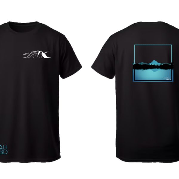 pull montagne, t-shirt montagne,sweat montagne, t-shirt, vêtement, hoodie valaisan, montagne suisse, pull suisse, t-shirt et hostie les alpes suisse, pull Moléson, pull montagne, t-shirt montagne